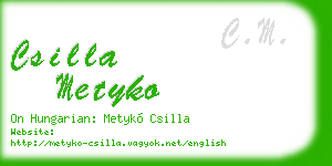 csilla metyko business card